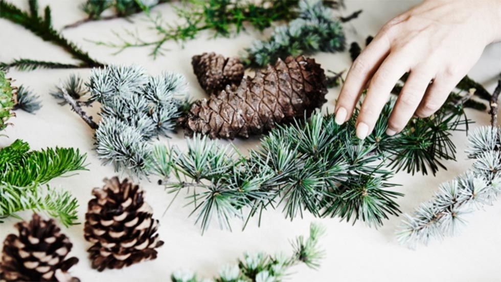 A floral and stylist how to dress your home and tree this Christmas